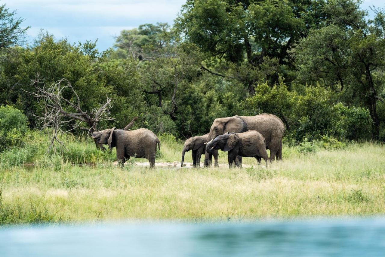 Shumbalala Game Lodge Thornybush Game Reserve Luaran gambar