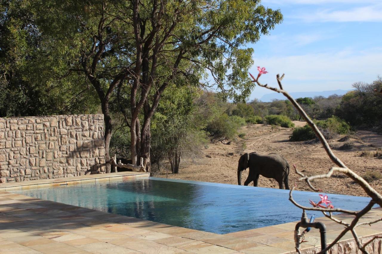 Shumbalala Game Lodge Thornybush Game Reserve Luaran gambar